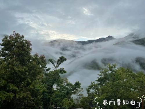 a foggy valley with trees and mountains in the background at Lala Mountain Homestay‧Cile Farm in Hualing