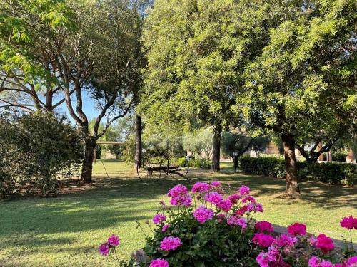 a park with pink flowers and trees and grass at Agriturismo Salcino in Grosseto