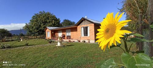 a large yellow sunflower in front of a house at Casa de campo Llifén Futrono Lago Ranco in Ranco