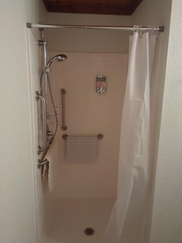een douche met een douchegordijn in de badkamer bij Comfort Zone Inn in Rothsay