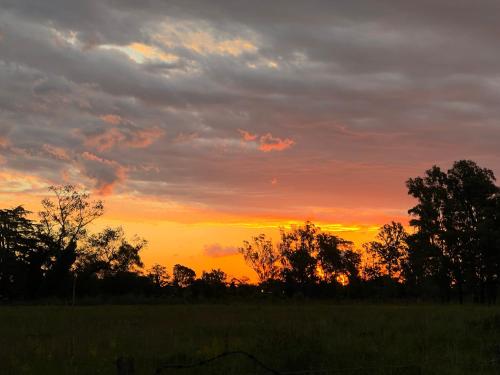 una puesta de sol en un campo con árboles en primer plano en Laguada en Tandil