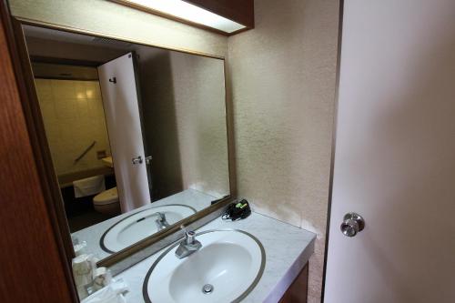 a bathroom with a sink and a large mirror at Kagoshima Kuko Hotel in Kirishima