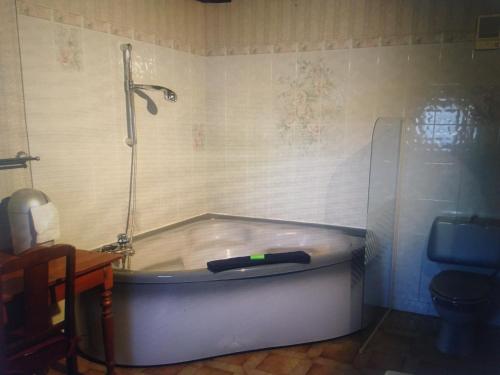 eine Badewanne im Bad mit Dusche in der Unterkunft La croix des Landes gîte ou chambre d'hôte avec piscine à Chouvigny in Chouvigny