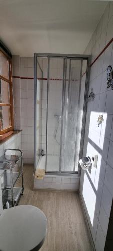 a bathroom with a shower with a glass door at Gasthof Landhaus Adorf in Bad Elster