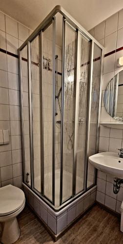 a bathroom with a shower and a toilet and a sink at Gasthof Landhaus Adorf in Bad Elster