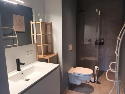 een badkamer met een wastafel, een toilet en een douche bij VERADEMING in Bilzen