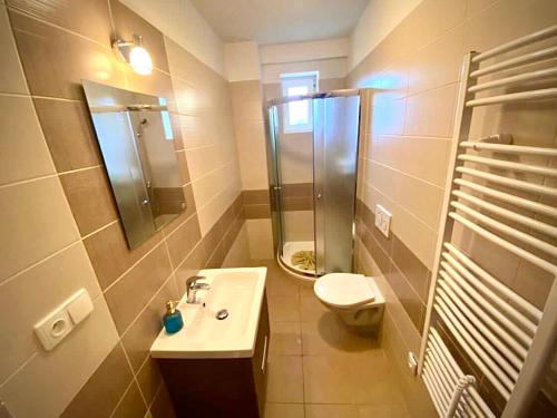 een badkamer met een wastafel, een douche en een toilet bij Ubytování Selský Dvůr in Valtice