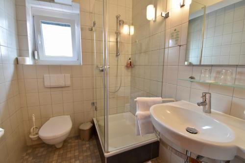 uma casa de banho com um lavatório, um WC e um chuveiro em Hotel Kranz em Gottmadingen