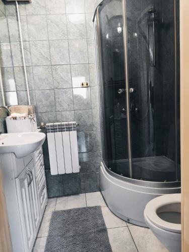 a bathroom with a shower and a sink and a toilet at Apartament w ogrodzie in Tylka