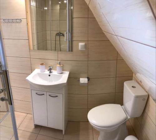 bagno con servizi igienici, lavandino e specchio di Podhalańska Chata a Zakopane