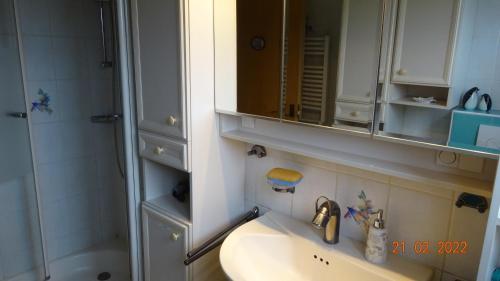 a bathroom with a sink and a mirror and a shower at FEWO Am Kiesteich im Weserbergland in Rinteln