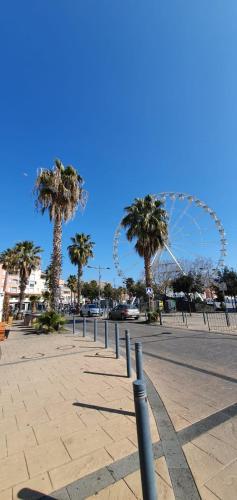 a park with palm trees and a ferris wheel in the background at Coquet studio au centre port du Cap d'Agde in Cap d'Agde