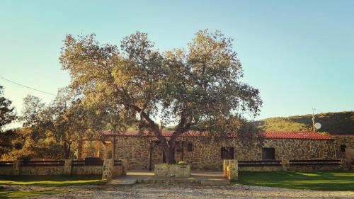 um edifício de pedra com uma árvore em frente em Casa Rural " La Quijada del Lobo " em Llerena