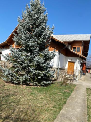 a christmas tree in front of a house at Cazare muncitori Ploiesti -workers accommodation in Ţînţăreni