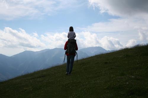 a person standing on a hill looking at the mountains at Chalet Zlatica Velika Planina in Stahovica