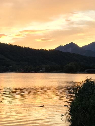 a group of ducks swimming in a lake at sunset at Paradiso sul lago in Calceranica al Lago