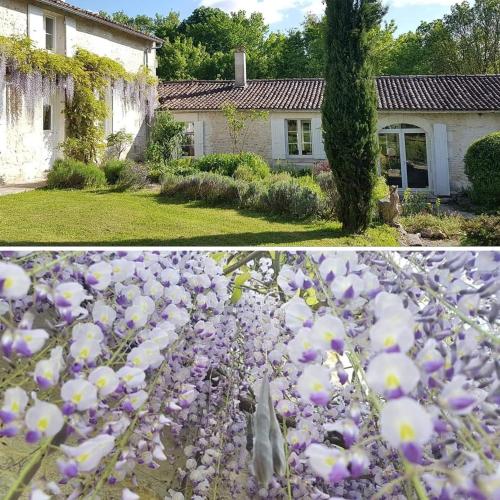 two pictures of a house with purple and white flowers at La Loge du Grand Cèdre, chambre d'hôtes SoCosy in Fontcouverte