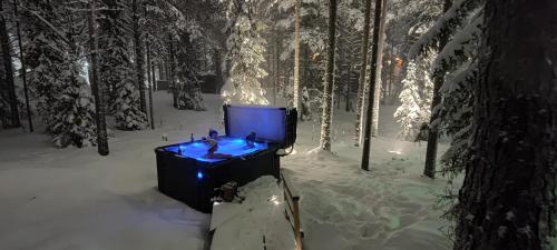 Billede fra billedgalleriet på Levillenet Bearlodge at Levi city centre i Levi