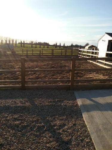 Φωτογραφία από το άλμπουμ του Heated Supersize Glamping Pod with ensuite bathroom, Wilburton, Nr Ely, Cambs σε Wilburton