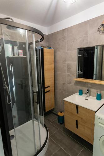une salle de bain avec douche et lavabo dans l'établissement Location Port Fréjus, bord de mer, à Fréjus