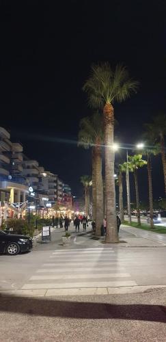 a group of palm trees on a sidewalk at night at AURI'S HOUSE in Vlorë