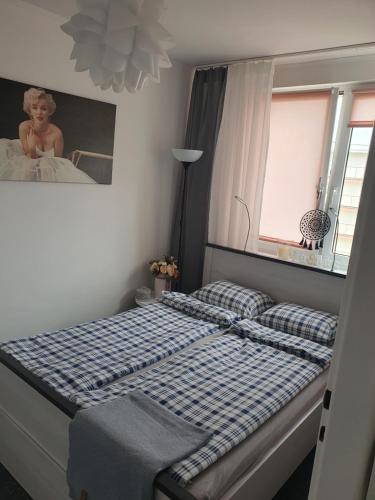 Katil atau katil-katil dalam bilik di Apartament Przy Ratuszu