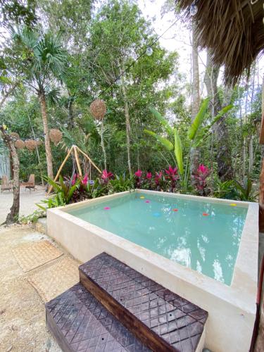 a swimming pool with a bench in a garden at Nuscaa Boutique Tree House & Spa in Puerto Morelos