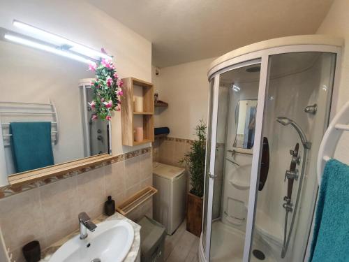 une salle de bain avec un lavabo et une douche dans l'établissement L'exotique !, à Gréoux-les-Bains