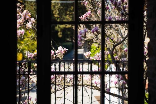 a window view of a tree with pink flowers at La Magnolia in Greve in Chianti