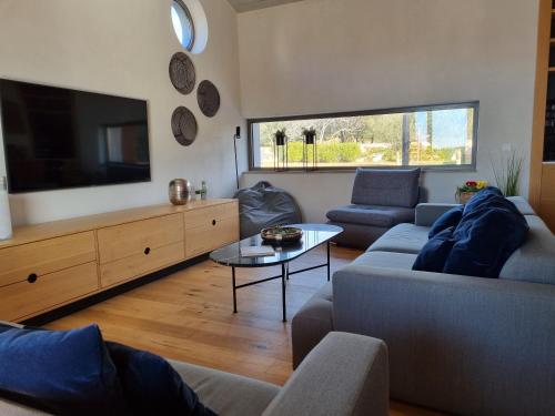 salon z kanapą i telewizorem w obiekcie Villa Casa Ombra Rossa w Fažanie