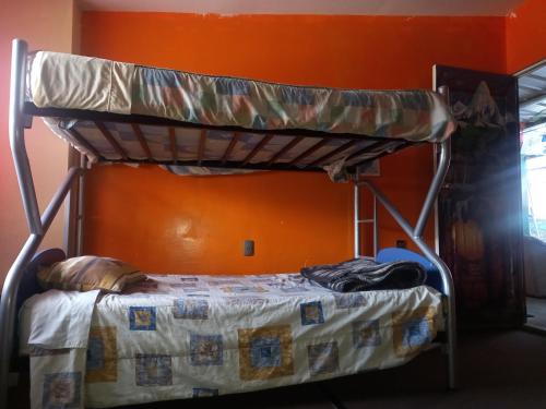 a bunk bed in a room with an orange wall at Monkeywasi Climbing Hostel in Huaraz