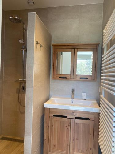 a bathroom with a sink and a shower at Logies Boszicht Texel in De Koog