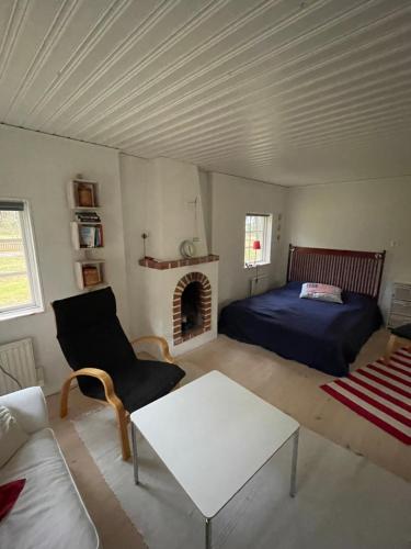 a bedroom with a bed and a couch and a fireplace at Havsnära paradis in Yngsjö