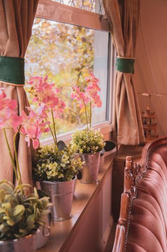 a window with three potted plants on a window sill at Agroturystyka u Kozdryka in Leśna