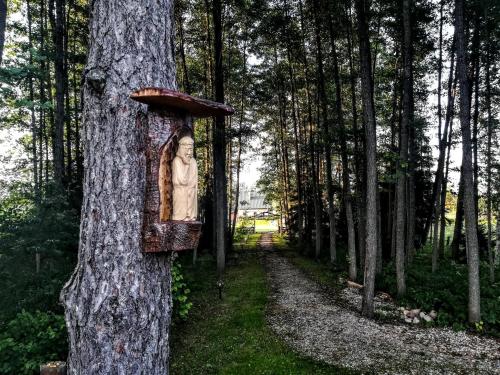 Příroda nedaleko prázdninového domu