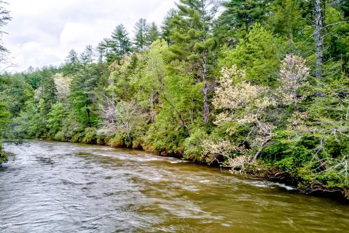 Riverwatch Retreat – Photos 5