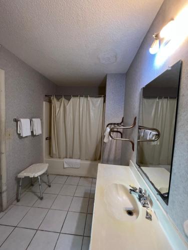 La salle de bains est pourvue d'un lavabo et d'un miroir. dans l'établissement magnolia inn, à McRae