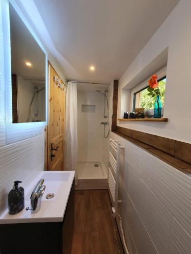 a bathroom with a sink and a shower at Ferienhaus Helmig in Kurort Gohrisch