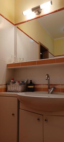 Η κουζίνα ή μικρή κουζίνα στο Apartmán Kováčová - The Apartment in spa village