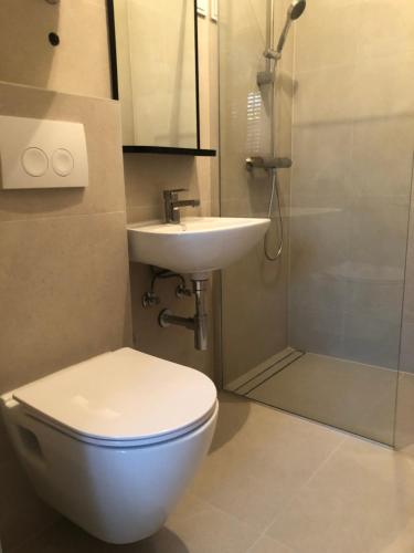 a bathroom with a toilet and a sink and a shower at Guest House Marta in Rovinj