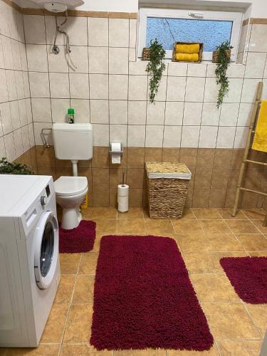 a bathroom with a toilet and a washing machine at Het Romeo & Julia Huisje in Babarc