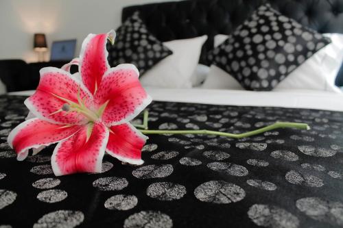 a pink flower sitting on top of a table at La Cabrera Hotel Boutique in Neiva