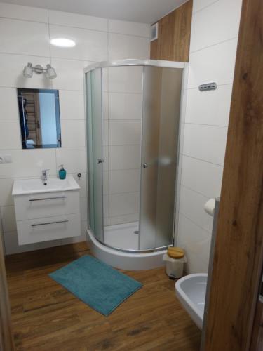 uma casa de banho com um chuveiro e um lavatório. em Dom nad potokiem - pokoje całoroczne em Wołkowyja