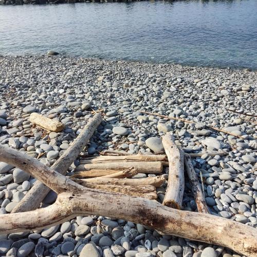 a group of logs laying on a rocky beach at Ostello ninin de ma' in Framura