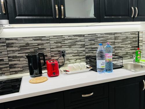 eine Küchentheke mit Spüle und Wasserflaschen in der Unterkunft Reny's Studio Apartments -Hiperbara in Livezeni