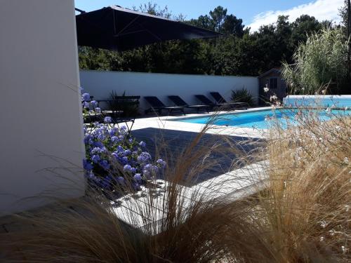 einen Hof mit Pool und ein paar lila Blumen in der Unterkunft B&B Les Villas de Gascogne in Lanton