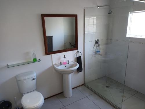 a bathroom with a toilet and a sink and a shower at Fig Tree in Colesberg