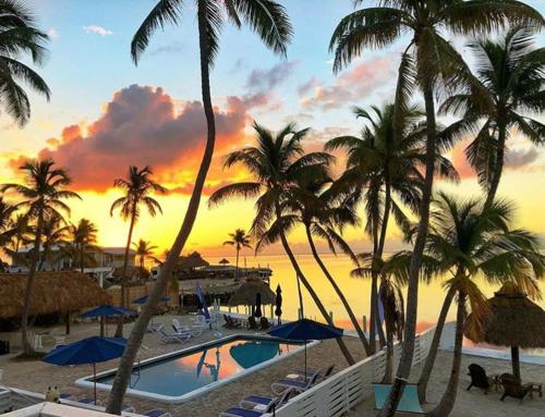 a resort with a pool and palm trees and a sunset at Drop Anchor Resort & Marina in Islamorada