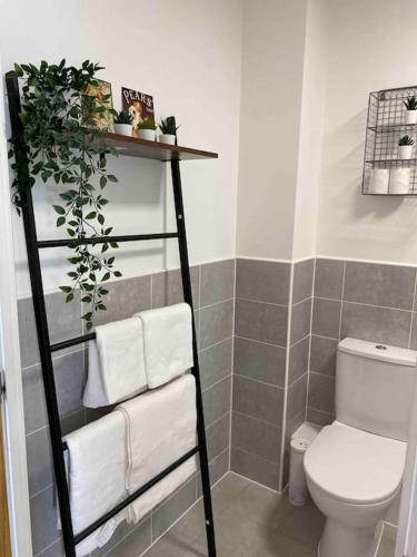 a bathroom with a toilet and a shelf with towels at Luxury 2 Bedroom waterfront apartment with balcony in Newport