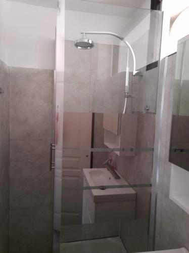 une salle de bain avec une douche avec des toilettes et un lavabo dans l'établissement Studio type T1 avec parking et cave à 600 m de la plage, à Fréjus